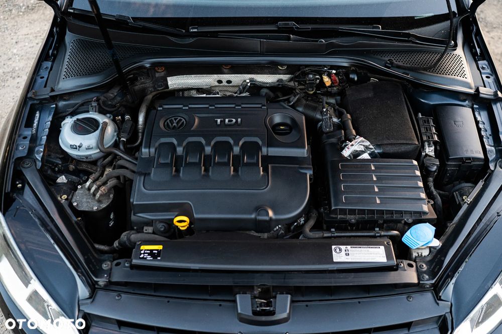Volkswagen Golf 1.6 TDI BlueMotion Trendline - 8