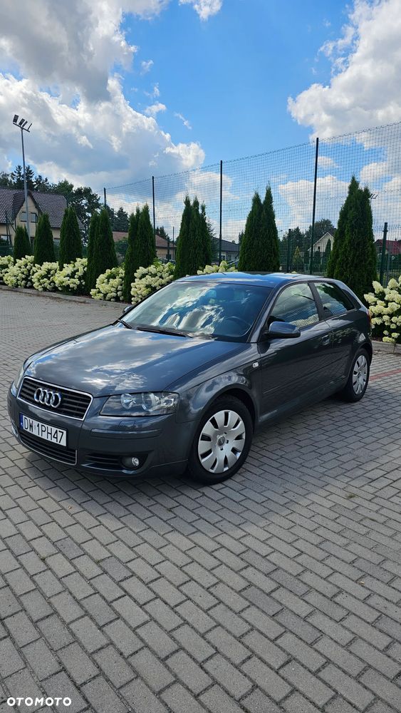Audi A3 3-drzwiowe 1.6 FSI Ambiente - 2