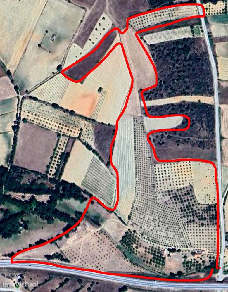 Terreno agrícola em Duas Igrejas 100.000M2 - Grande imagem: 2/10