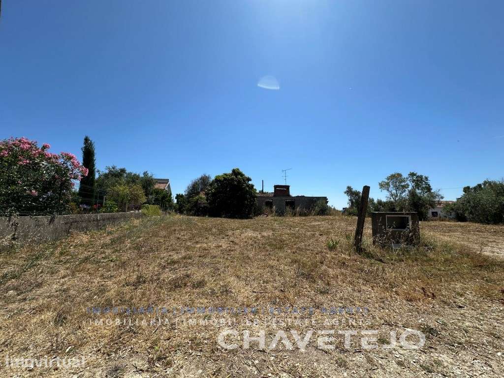 Terreno com ruína para reconstruir junto à cidade de Tomar. - Grande imagem: 5/17
