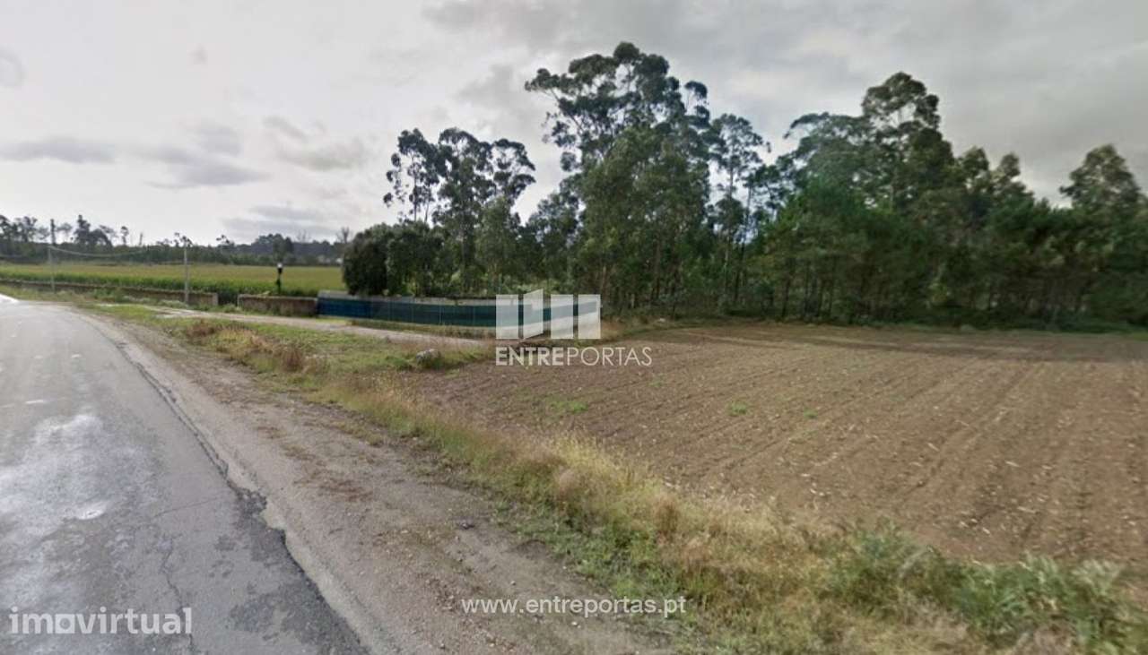 Venda de Terreno agro-florestal com 29000 m2, Laúndos, Póvoa de Varz - Grande imagem: 3/4
