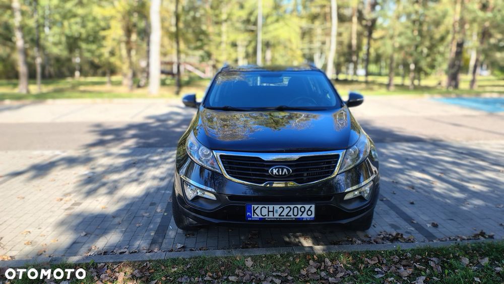 Kia Sportage - 24
