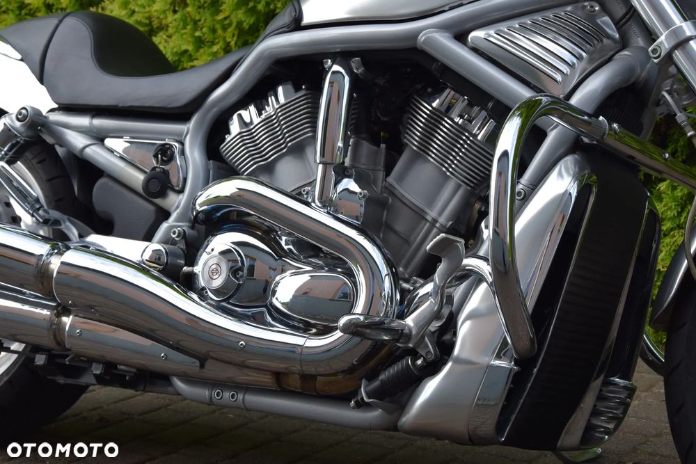 Harley-Davidson Softail V-Rod - 7