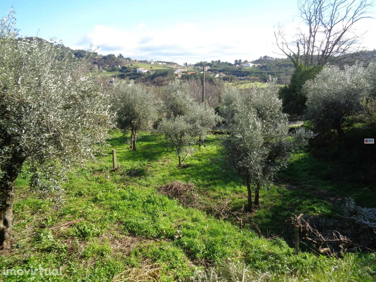 Terreno - Teixoso - 7 min da Covilhã - Grande imagem: 5/13