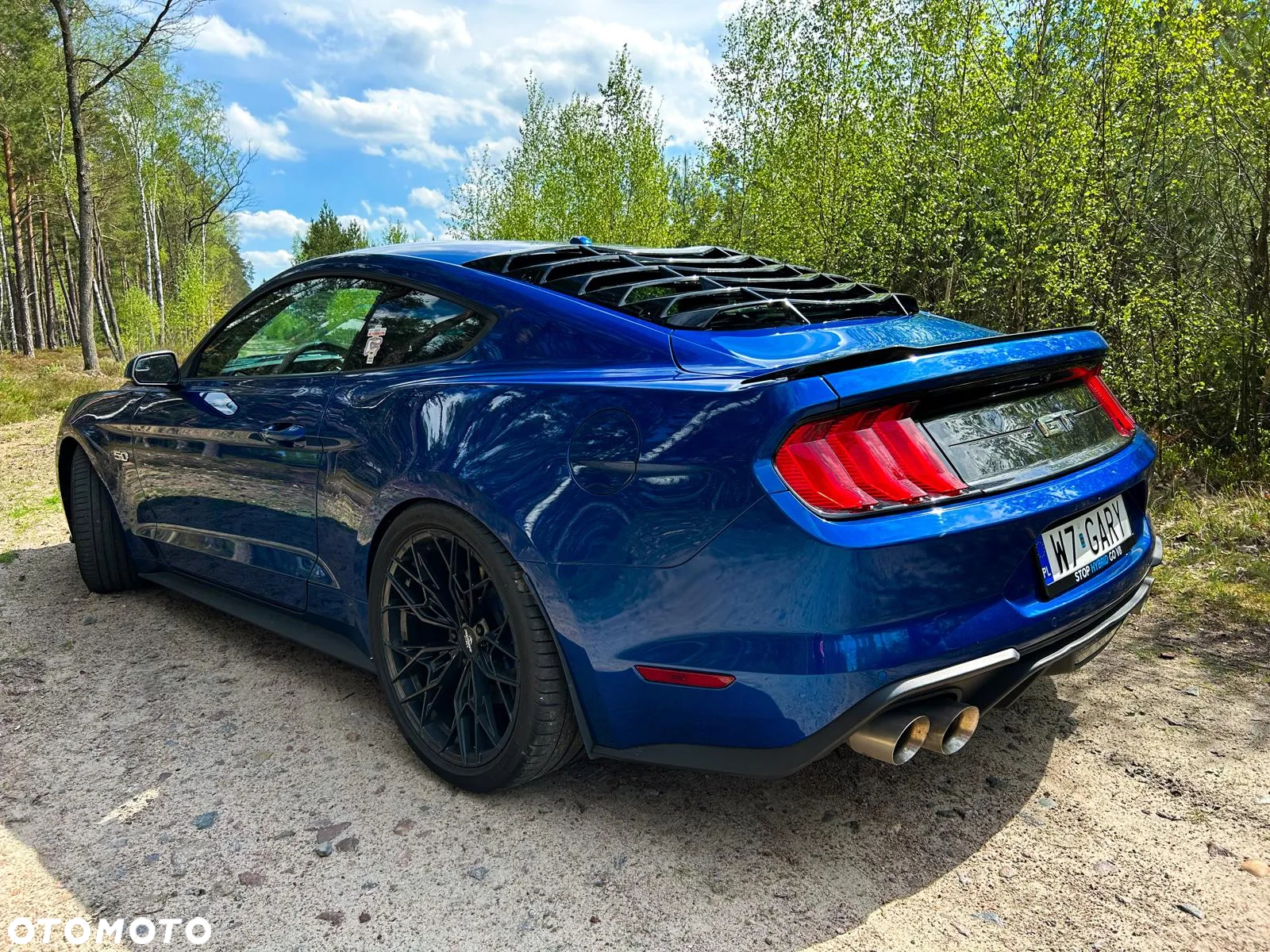 Ford Mustang Fastback 5.0 Ti-VCT V8 MACH1 - 15
