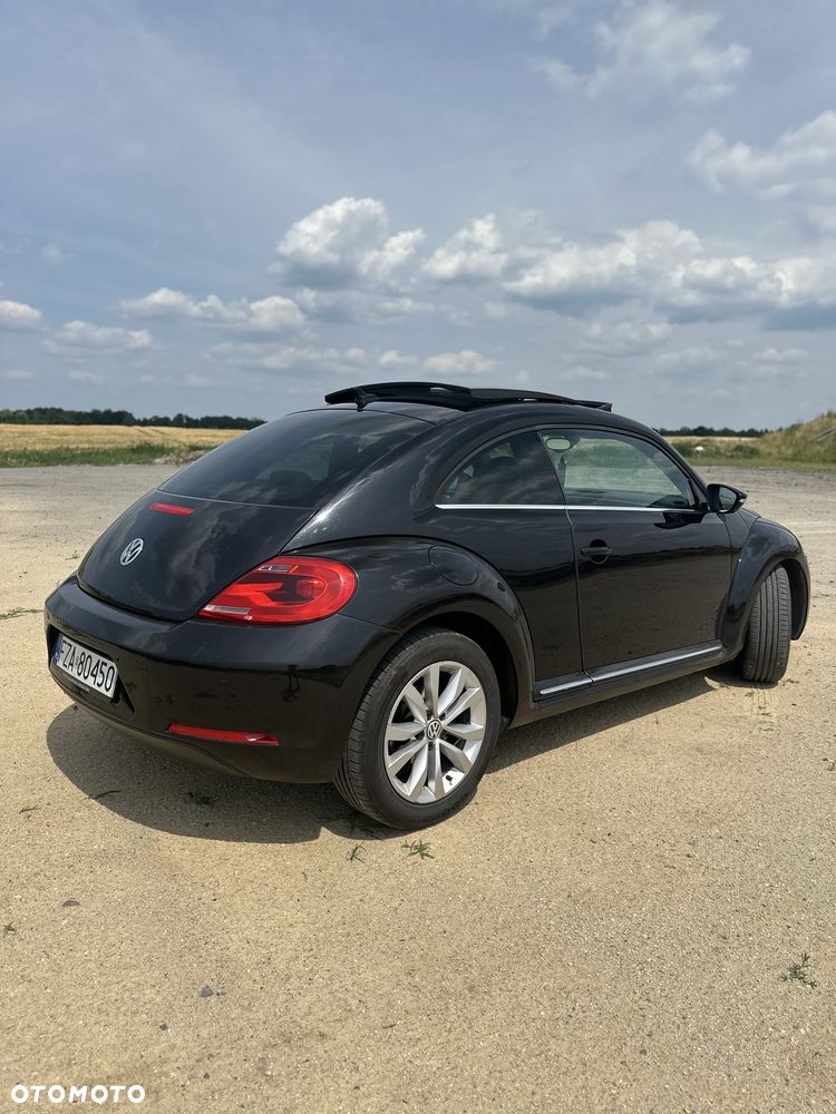 Volkswagen Beetle - 4
