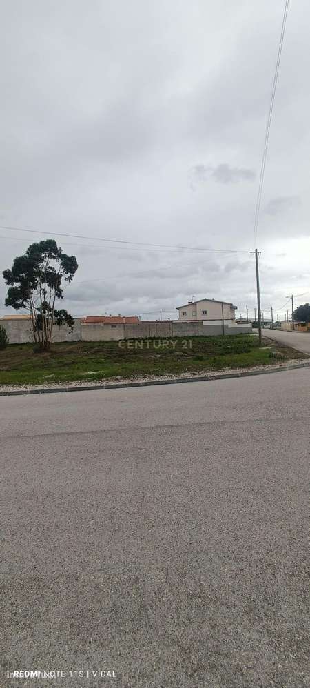 Terreno para construção em Vieira de Leiria – a 2 minutos da Praia da - Grande imagem: 2/10
