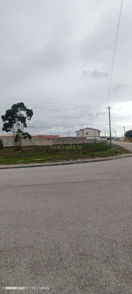 Terreno para construção em Vieira de Leiria – a 2 minutos da Praia da - Grande imagem: 2/10