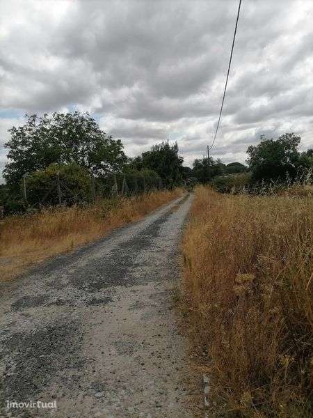 Quinta, com pavilhões - Grande imagem: 2/9