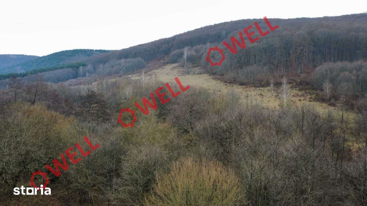 De vânzare teren extravilan în loc.Malnaș - Imagine principală: 2/6