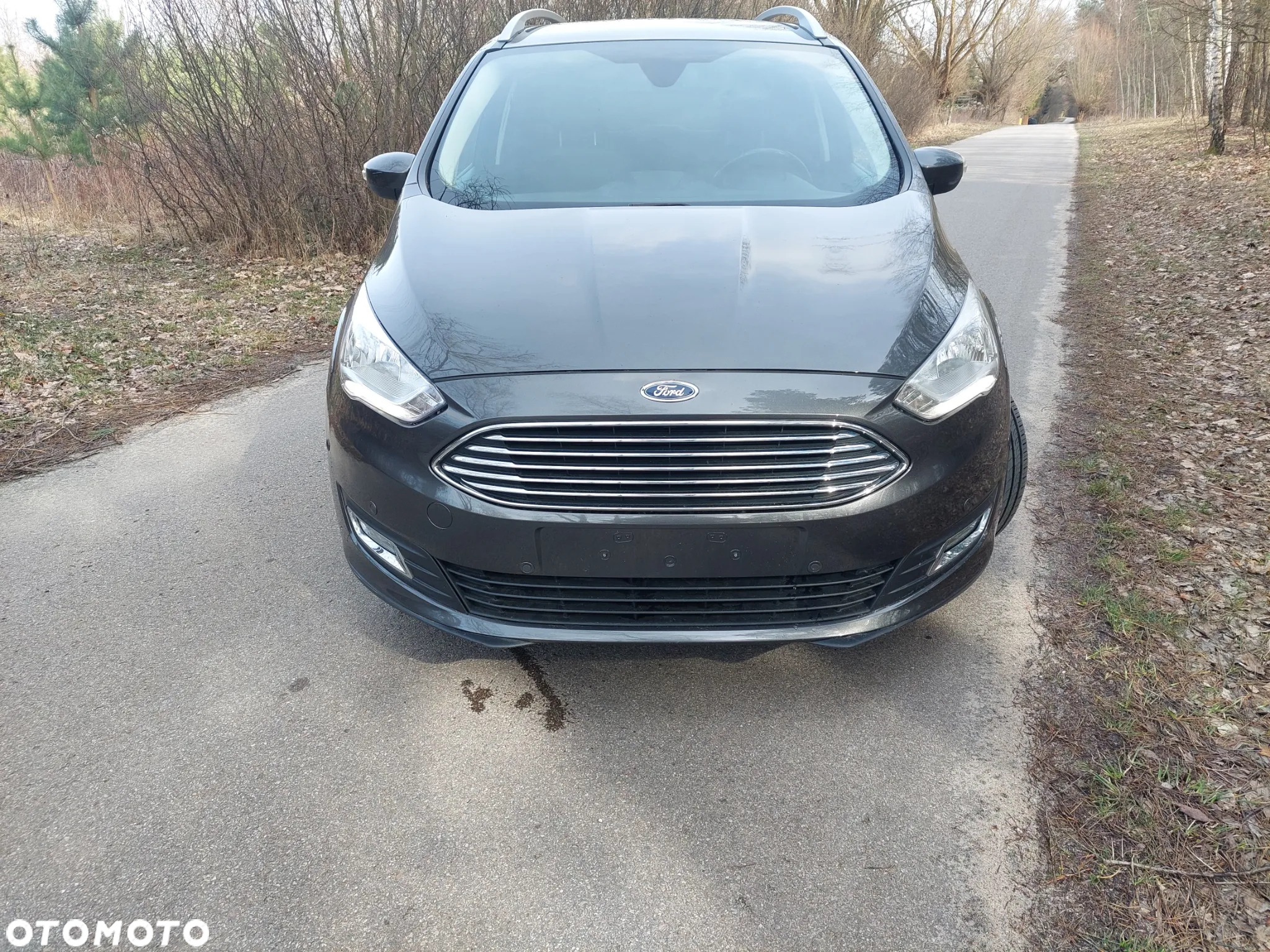 Ford Grand C-MAX 1.5 EcoBoost Start-Stopp-System Business Edition - 2