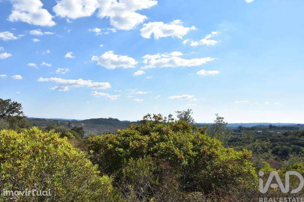 Terreno em Chãos de 33440,00 m2 - Grande imagem: 5/29