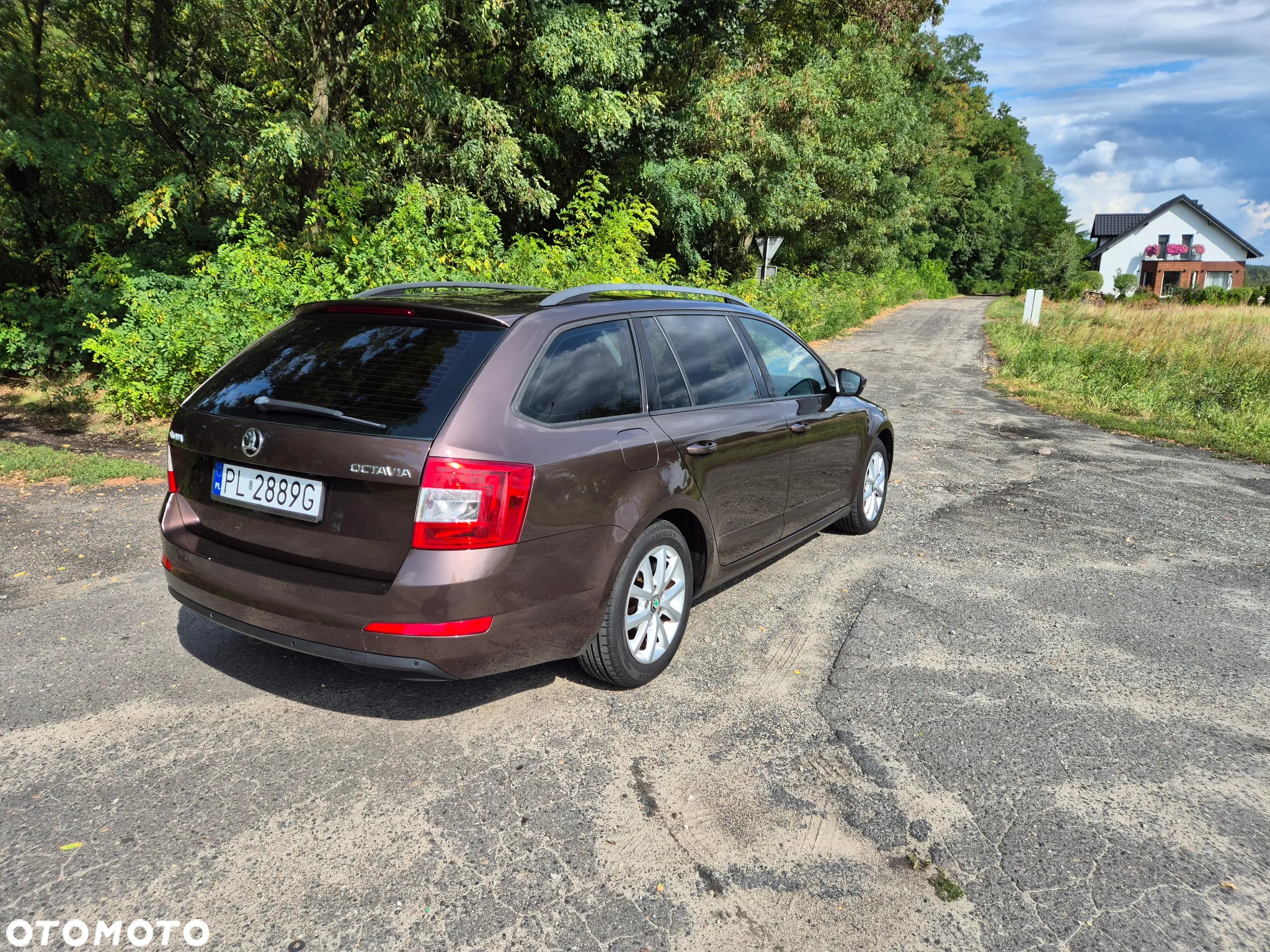 Skoda Octavia - 5