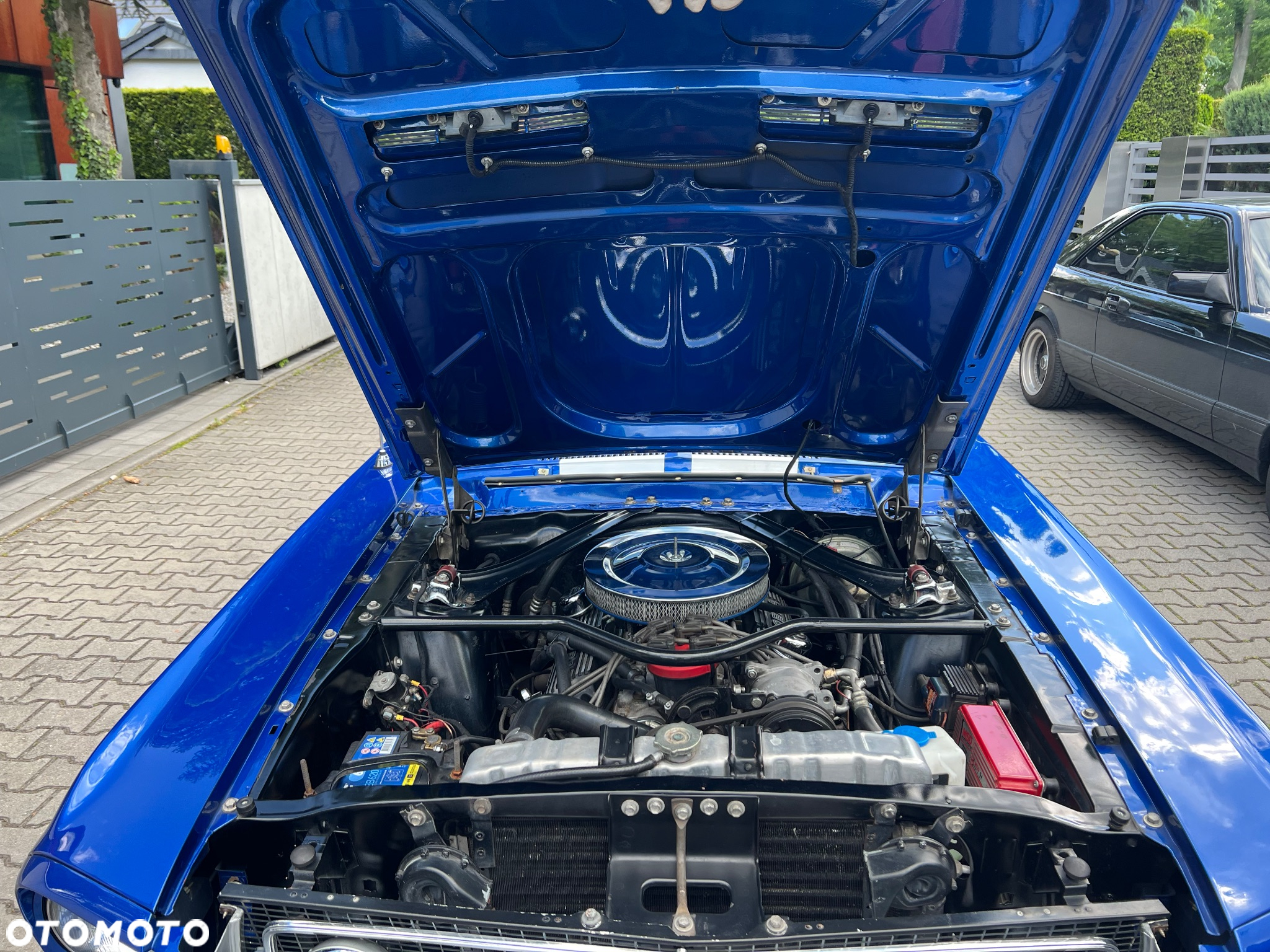 Ford Mustang - 13