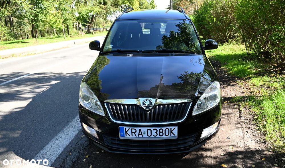 Skoda Roomster - 10