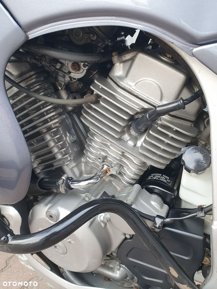 Honda Transalp - 34