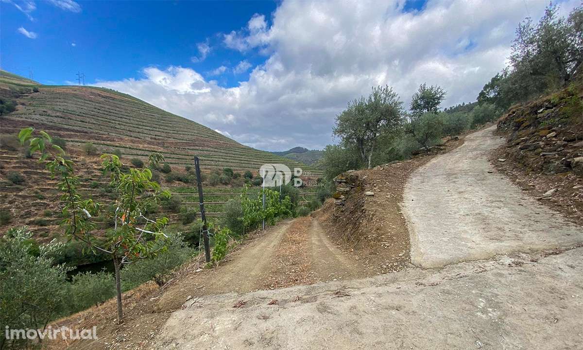 Terreno 12.600m² - Santo Aleixo - Grande imagem: 4/15