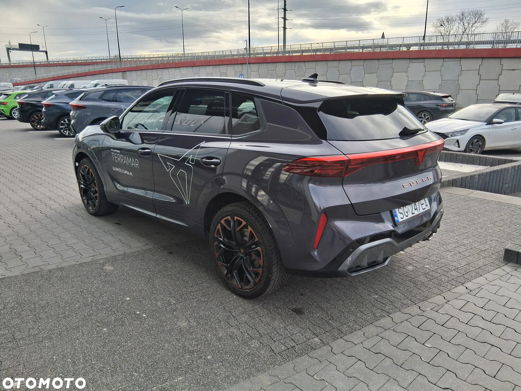 Cupra Terramar - 9