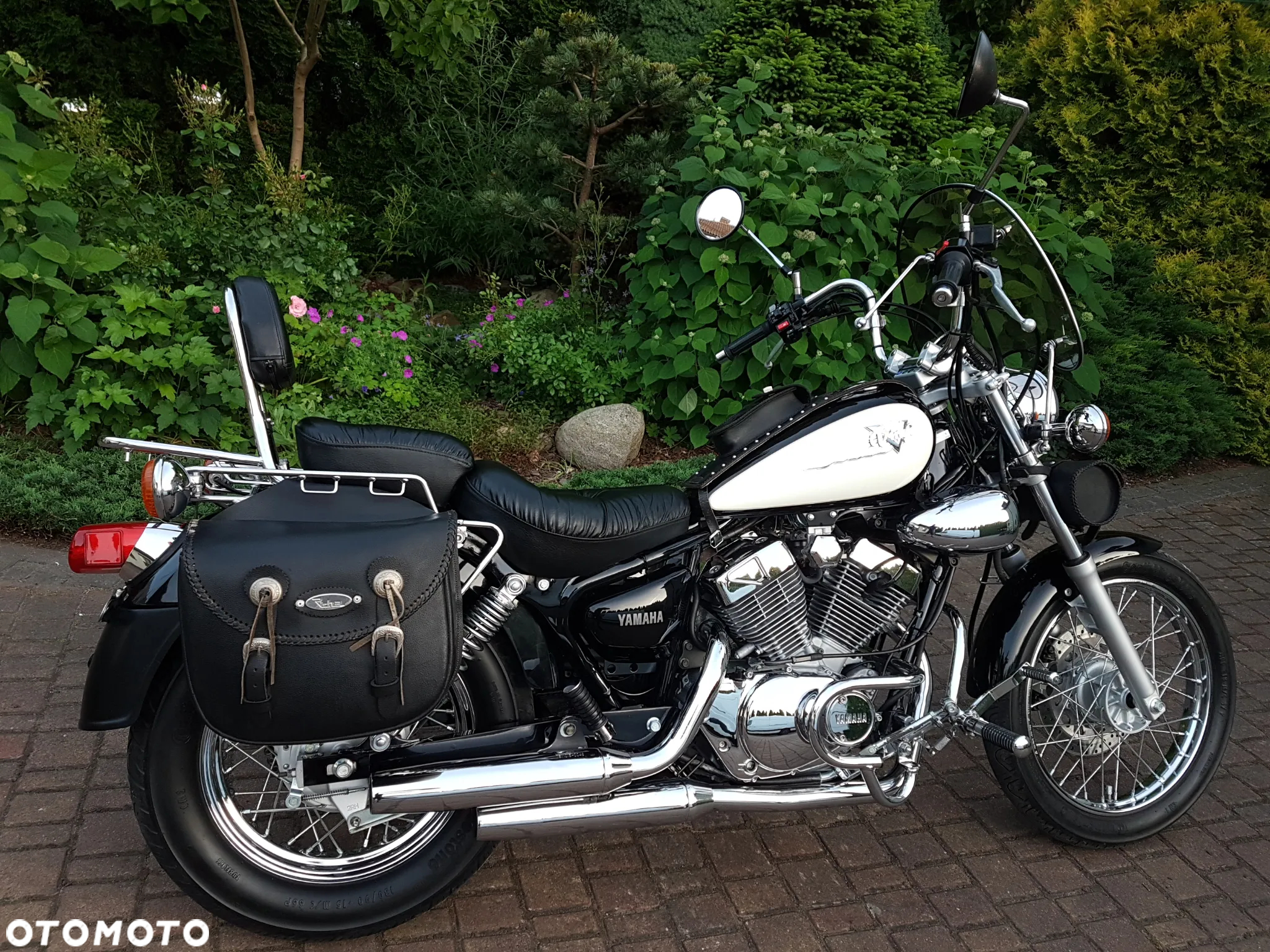 Yamaha Virago - 5