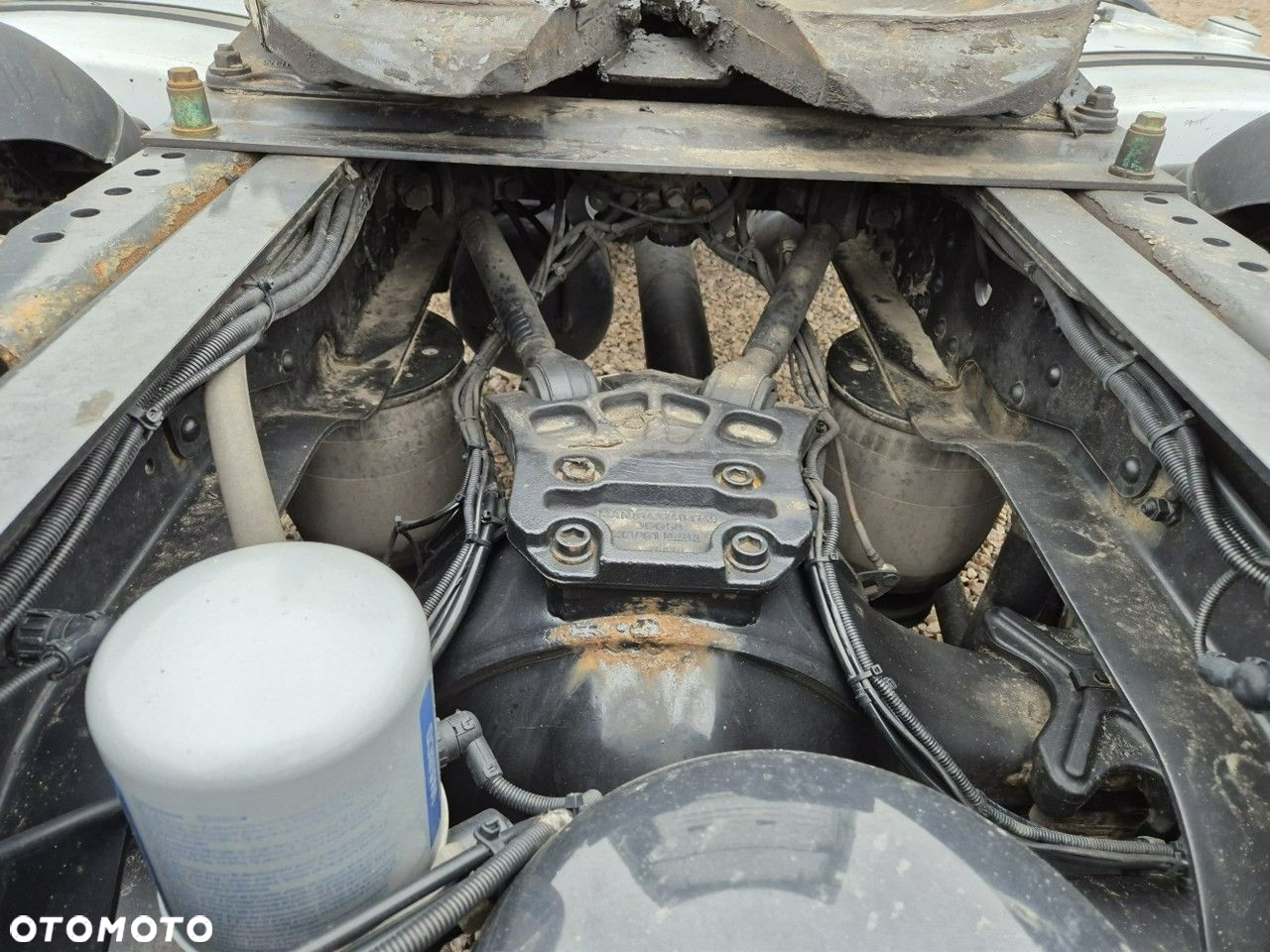 MAN Tgx - 12