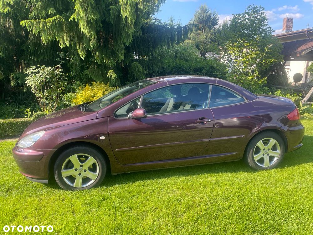 Peugeot 307 - 3