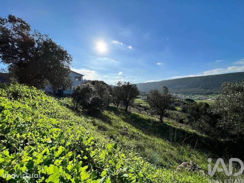 Terreno para construção em Porto de Mós - São João Baptista e São Pedr - Grande imagem: 2/8