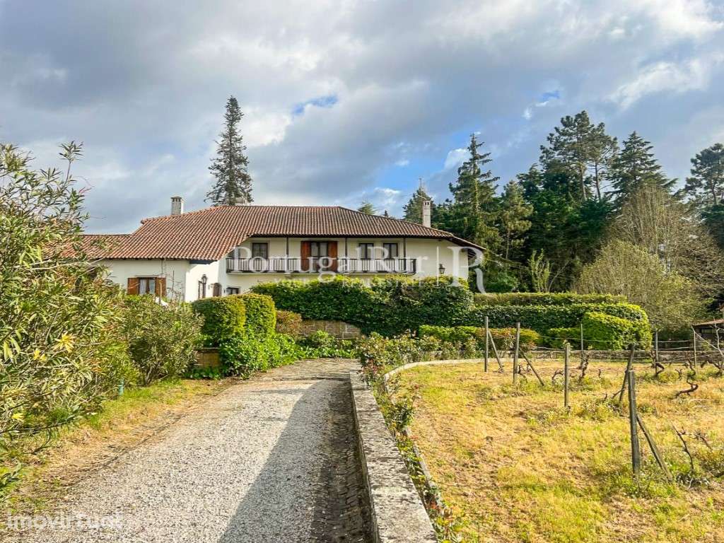 Quinta de 3,6ha com Casa Senhorial, Vinhas e Olival - Grande imagem: 2/60