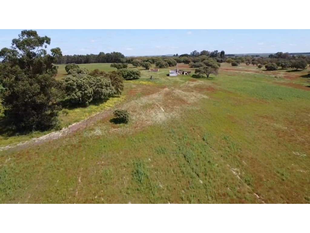 TERRENO DE 22,45 HA COM RUÍNA DE 240 M² PARA RECUPERAÇÃO EM FERREIR... - Grande imagem: 3/25