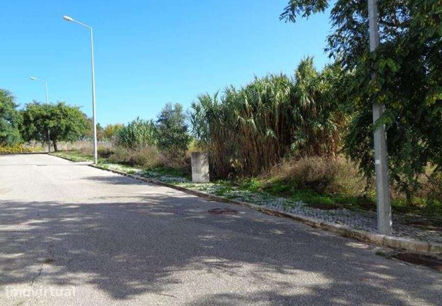 Conjunto de 4 lotes para construção de moradias.  Figueira da Foz - Grande imagem: 3/7