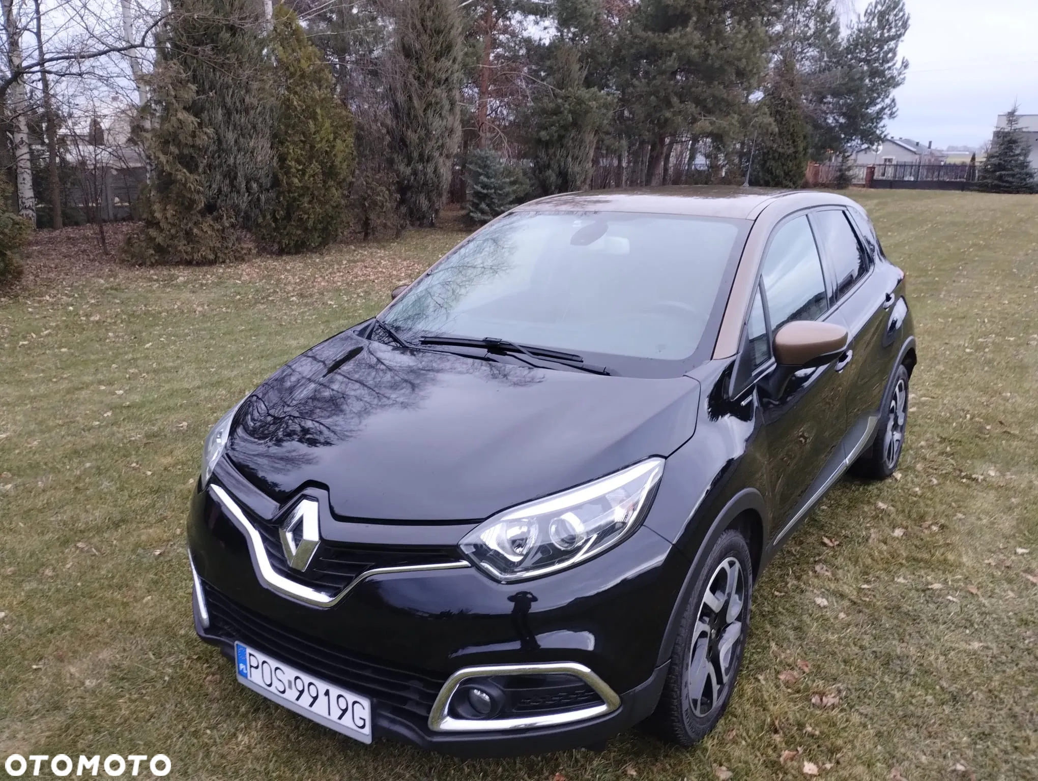 Renault Captur - 20
