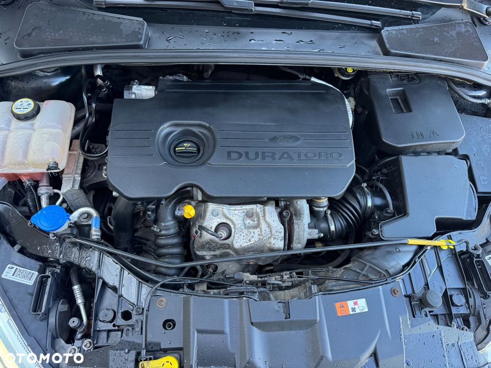 Ford Focus - 15