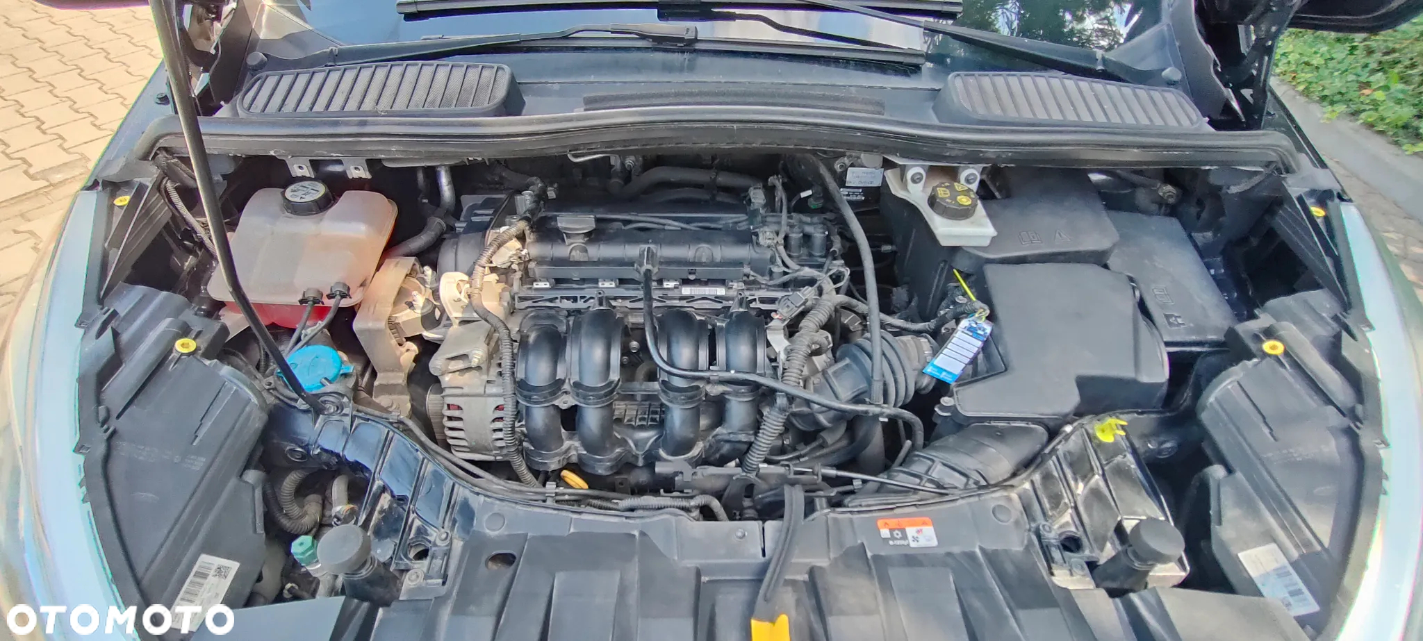 Ford C-MAX 1.6 Trend - 13