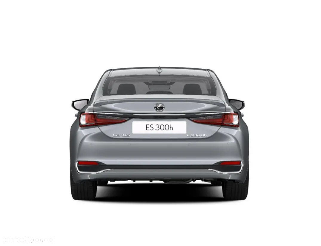 Lexus ES 300h Omotenashi - 5