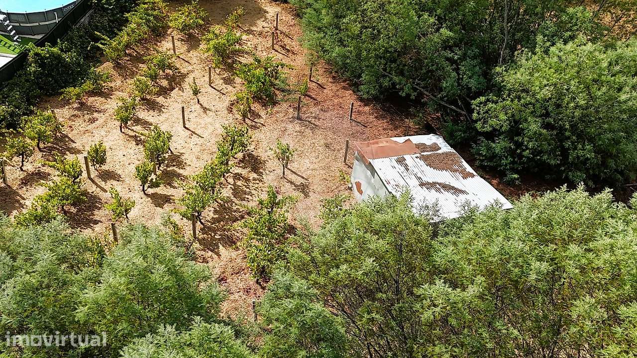 Terreno  para venda - Grande imagem: 2/5