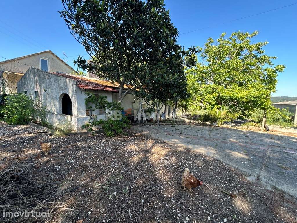 Quintinha nas Calçadas - Tomar - Grande imagem: 2/45