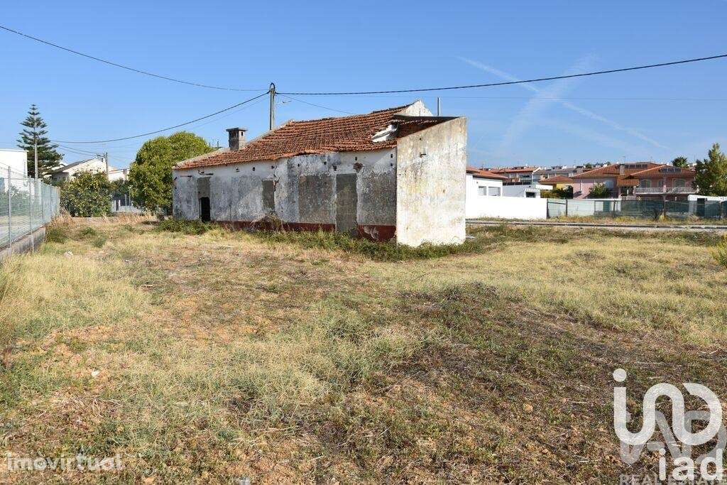 Moradia térrea T4 em Nossa Senhora de Fátima - Grande imagem: 2/40