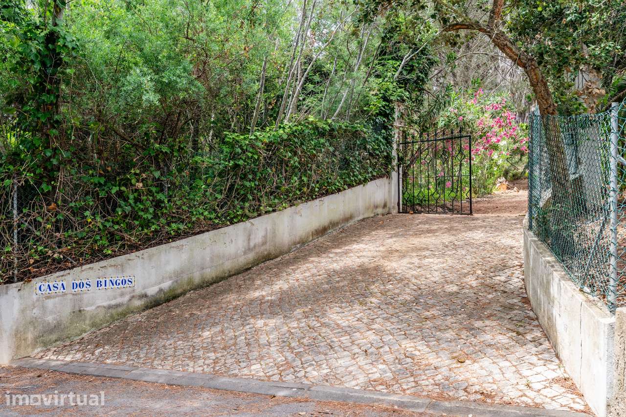 Moradia inserida em terreno com 3.560m2 a 5 minutos das Praias da Mari - Grande imagem: 5/31