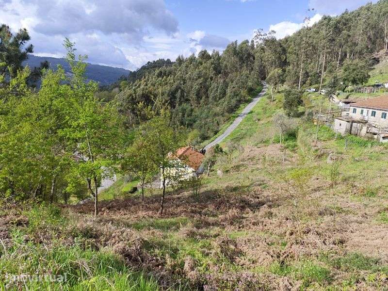 Terreno para venda - Grande imagem: 5/6