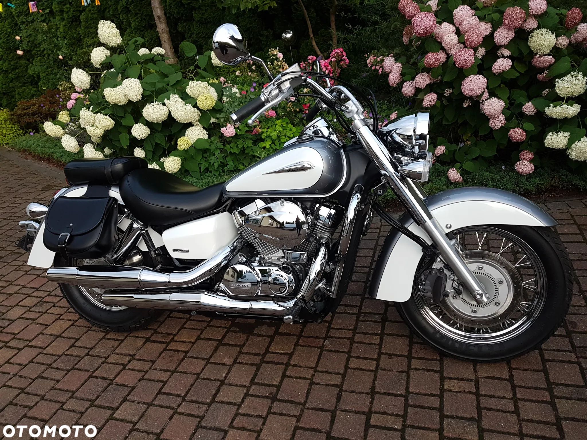 Honda Shadow - 1