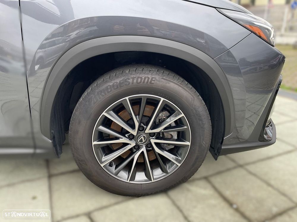 Lexus NX 450h+ - 18