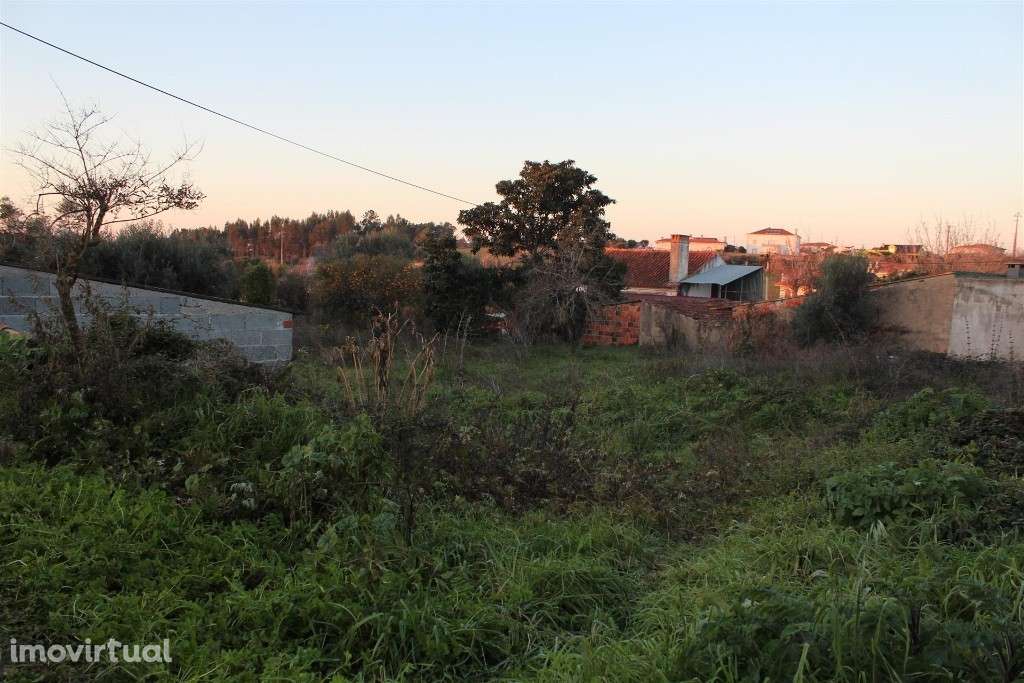 Terreno com ruina, Condeixa-a-Nova, Condeixa - Grande imagem: 4/12