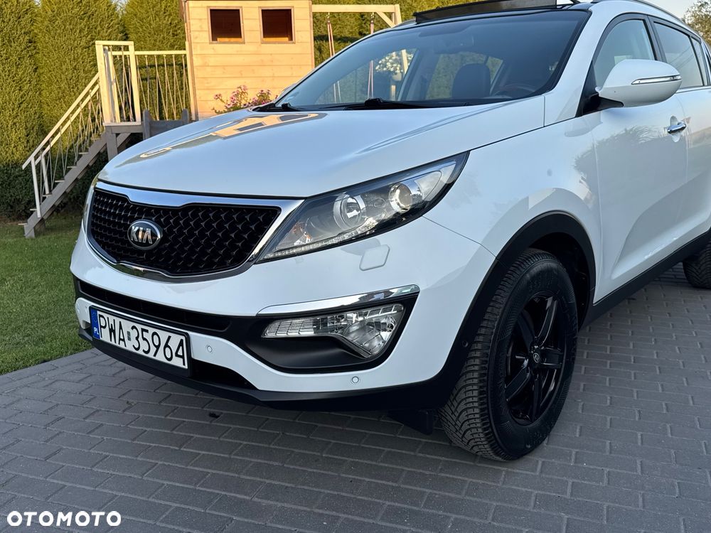 Kia Sportage - 37