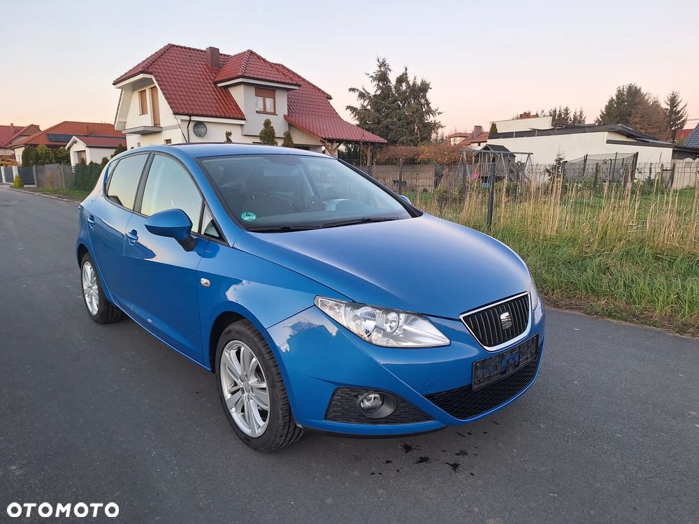 Seat Ibiza - 19