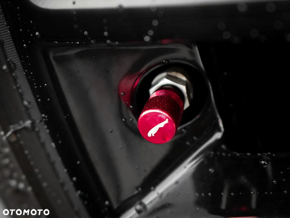 Jaguar F-Type P300 R-Dynamic - 14