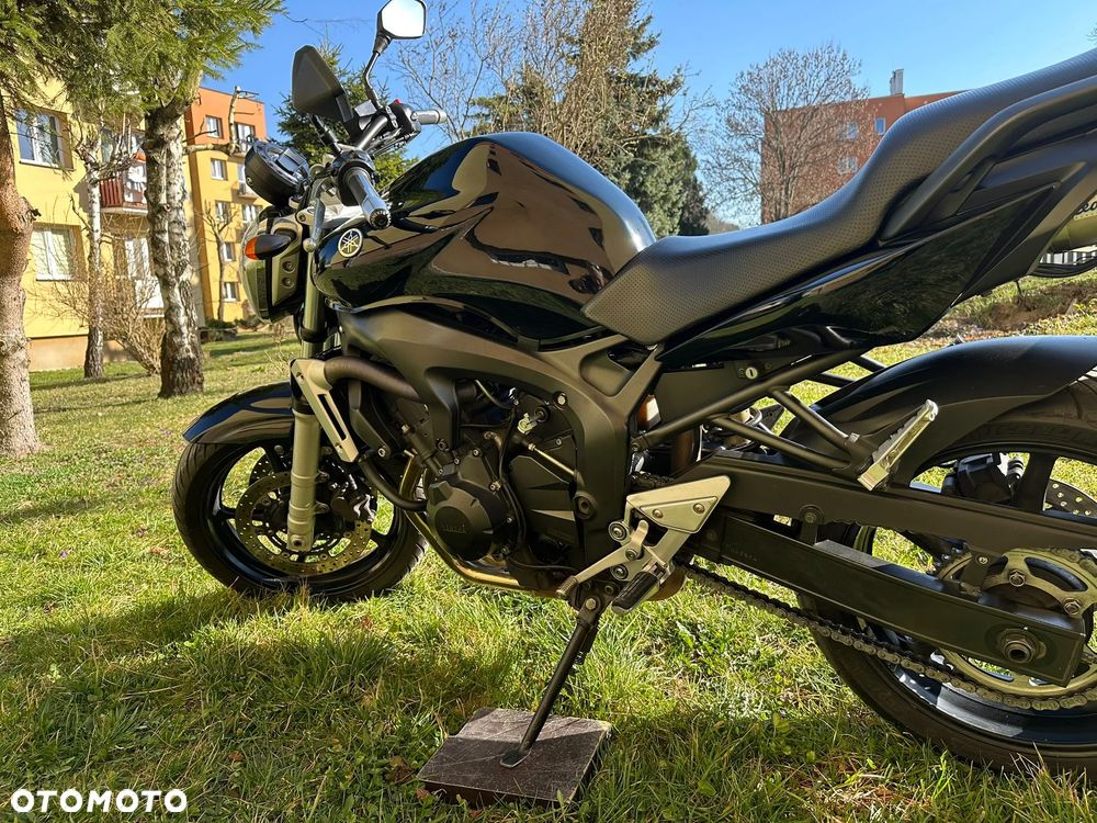 Yamaha FZ6 - 19