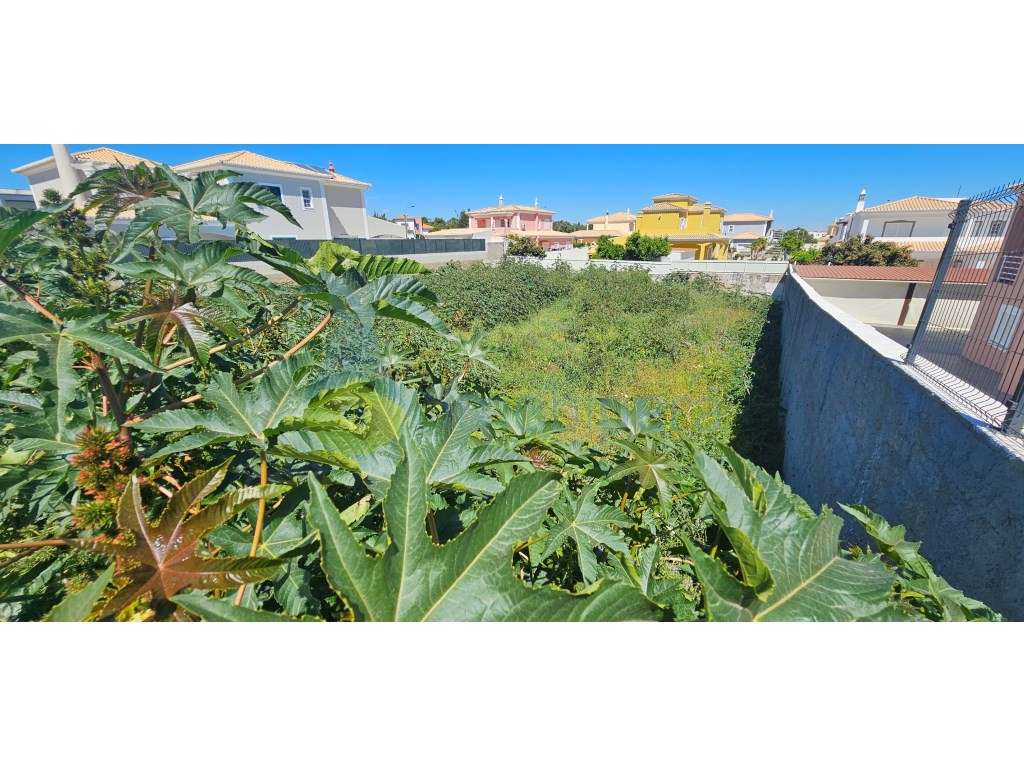 Lote para construção localizado em , Lagoa sul, perto de todos os s... - Grande imagem: 3/9