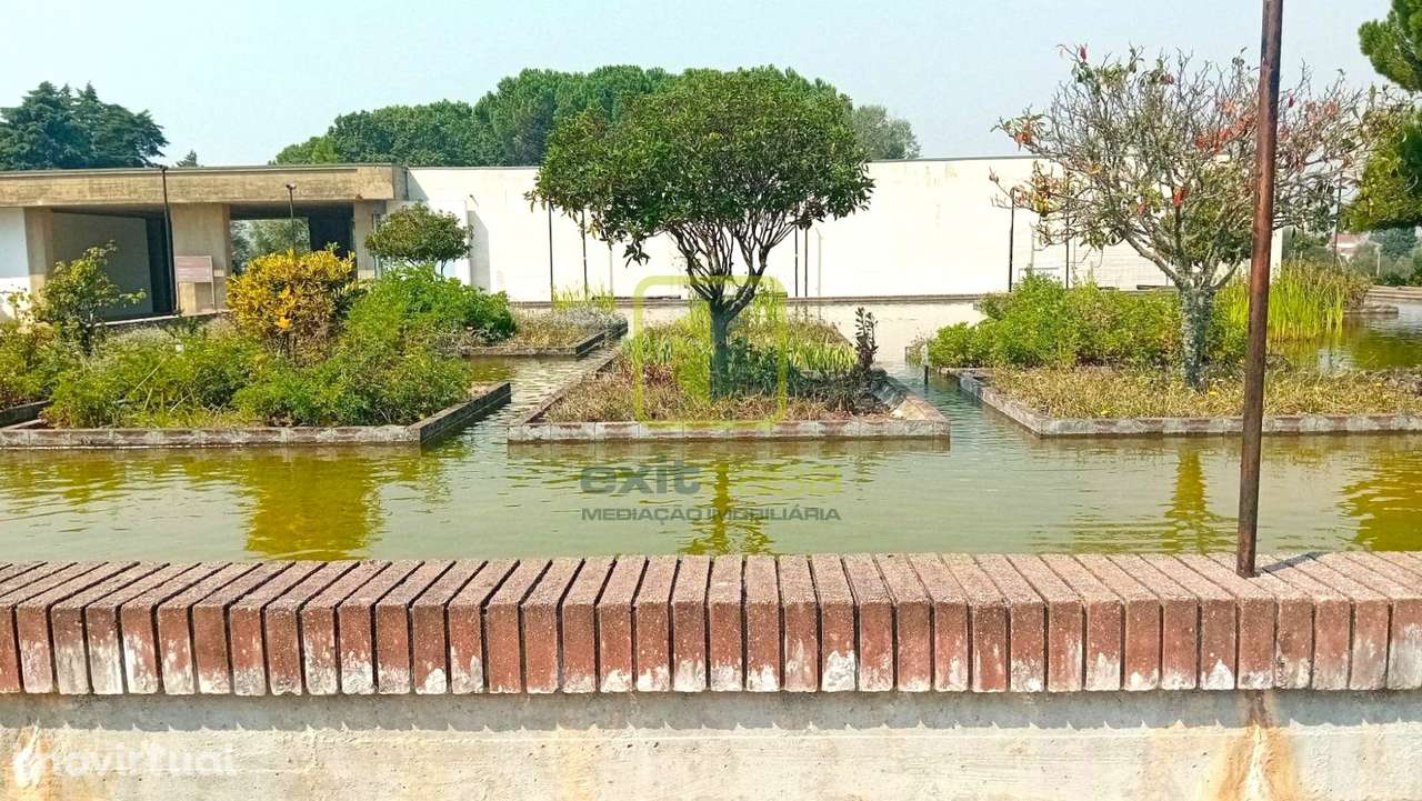 Terreno - Grande imagem: 5/8