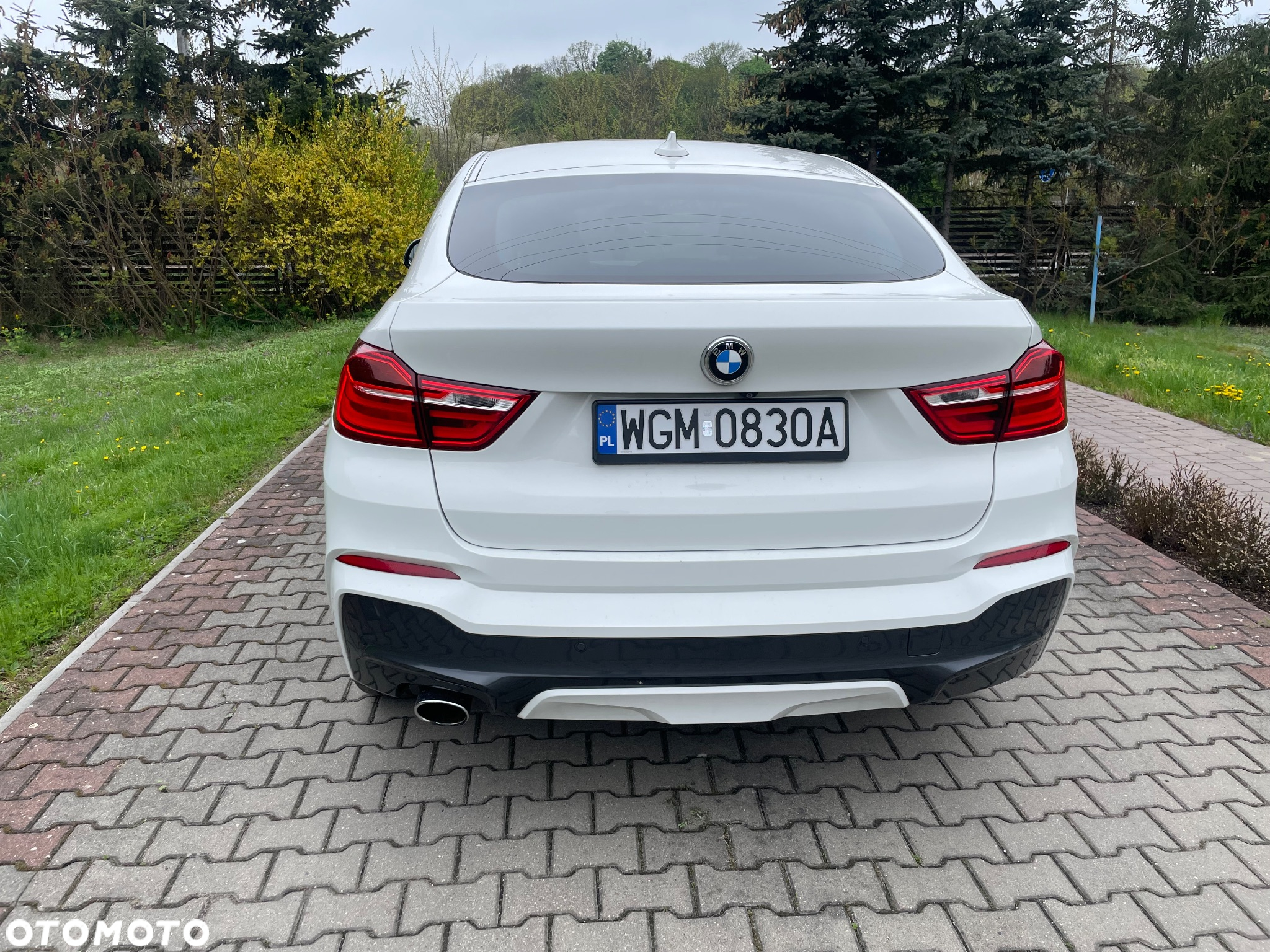 BMW X4 xDrive20d Edycja M Sport - 8