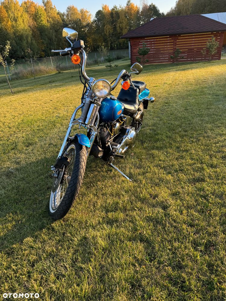 Harley-Davidson Softail Heritage Classic - 10