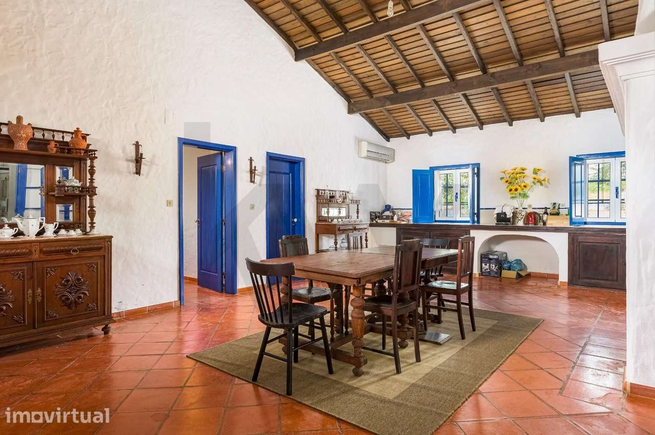 Herdade no Alentejo com vinha, piscina e potencial turístico em Avis - Grande imagem: 3/60
